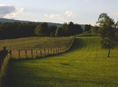 landscape photography of green field with fence