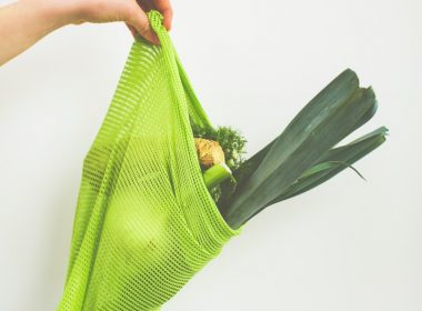person holding green leaf vegetable