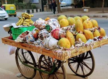 assorted fruits on fruit rack