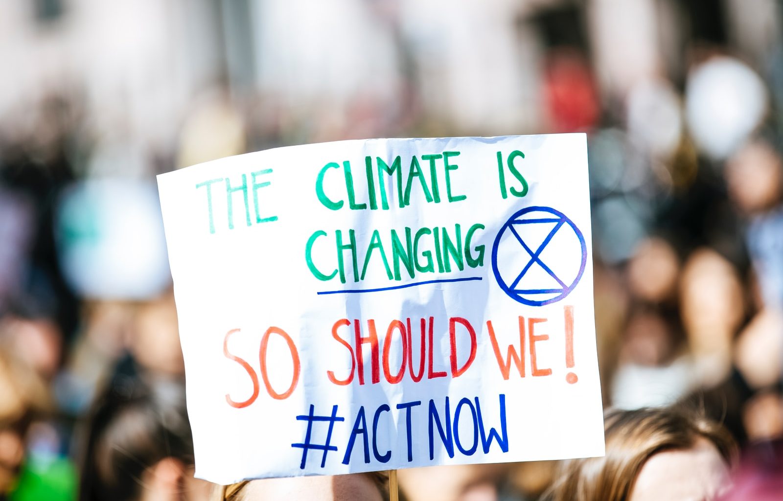 person holding The Climate is Changing signage