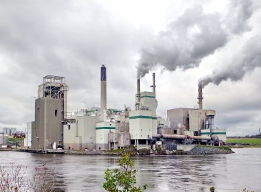 white and green factory building near body of water during daytime