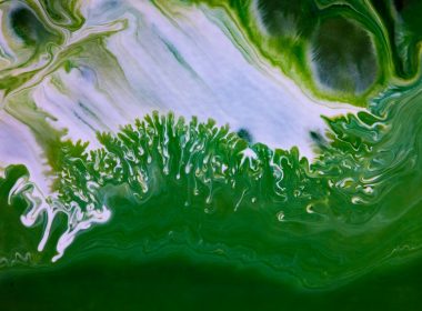 green and white abstract painting