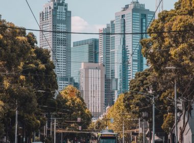 cars on road near high rise buildings during daytime