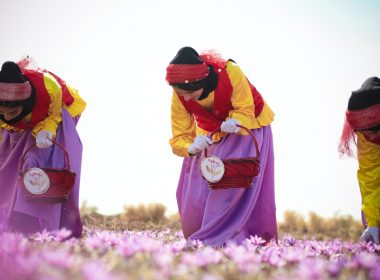 woman in yellow and red dress standing on purple flower field during daytime
