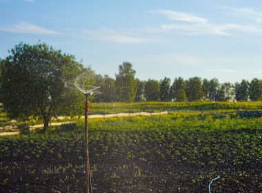 green grass field under blue sky during daytime