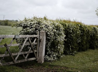 brown wooden fence near green grass field during daytime