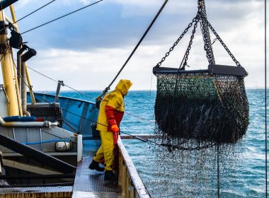 man in yellow jacket and yellow pants standing on boat dock during daytime