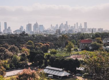 green trees and city buildings during daytime