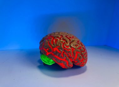 brain figurine
