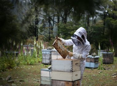 man holding honeycomb
