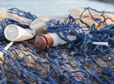 plastic bottles on net