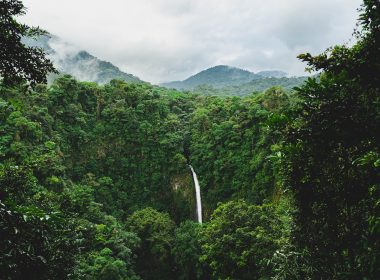 green trees on mountain under white clouds during daytime