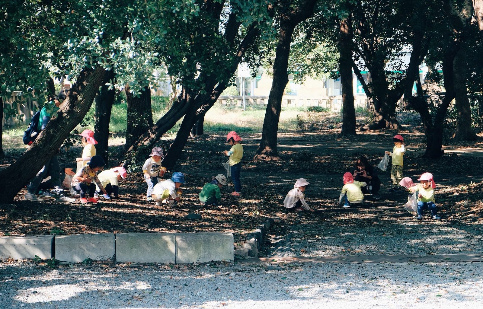 people sitting on concrete bench near trees during daytime