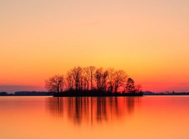 silhouette of trees near body of water during sunset