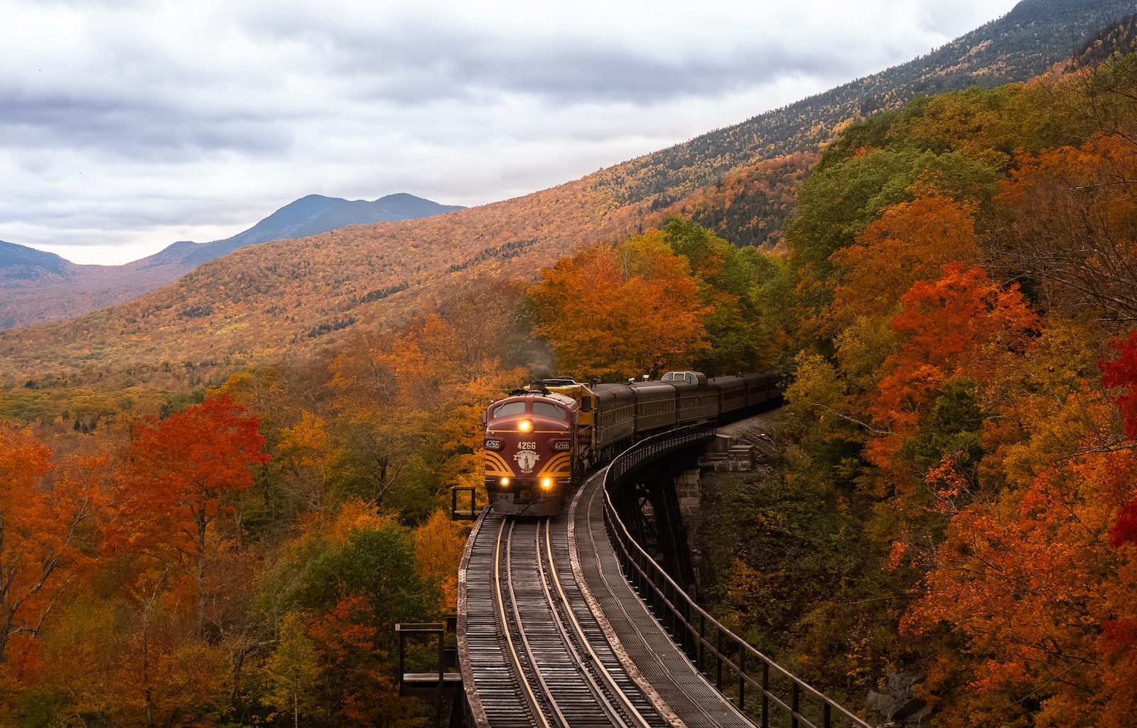 orange train between fall trees
