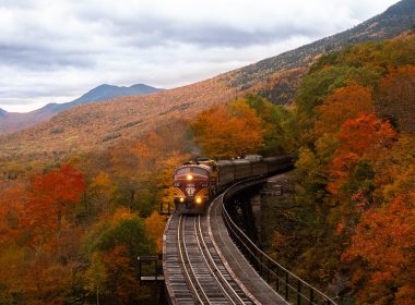 orange train between fall trees
