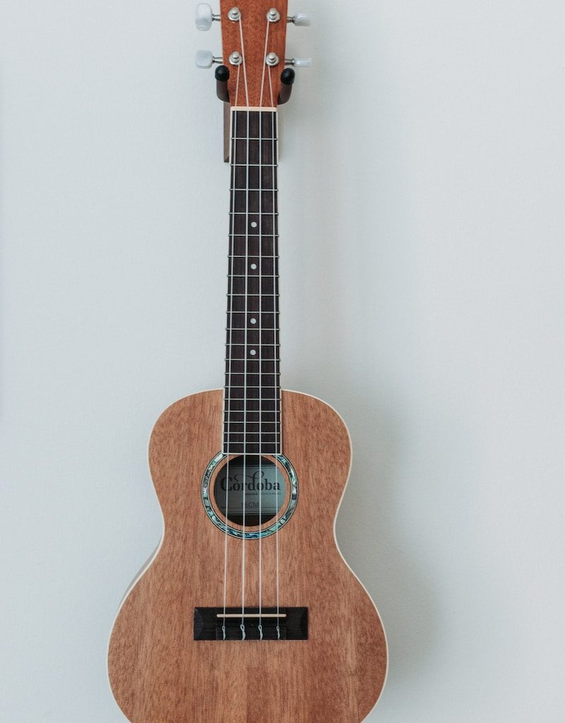 brown ukulele