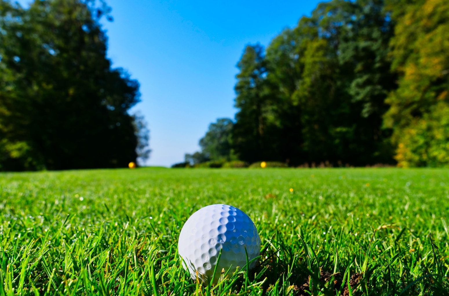 white golf ball on top of green grass field surrounded by green leaf trees