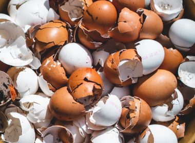 brown and white plastic egg toy