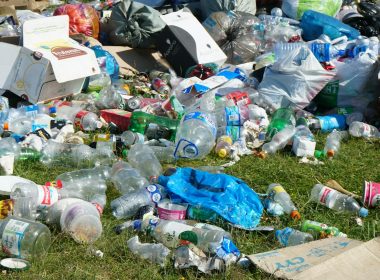 blue plastic bottle on green grass field