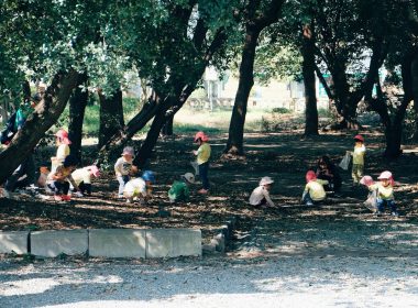 people sitting on concrete bench near trees during daytime