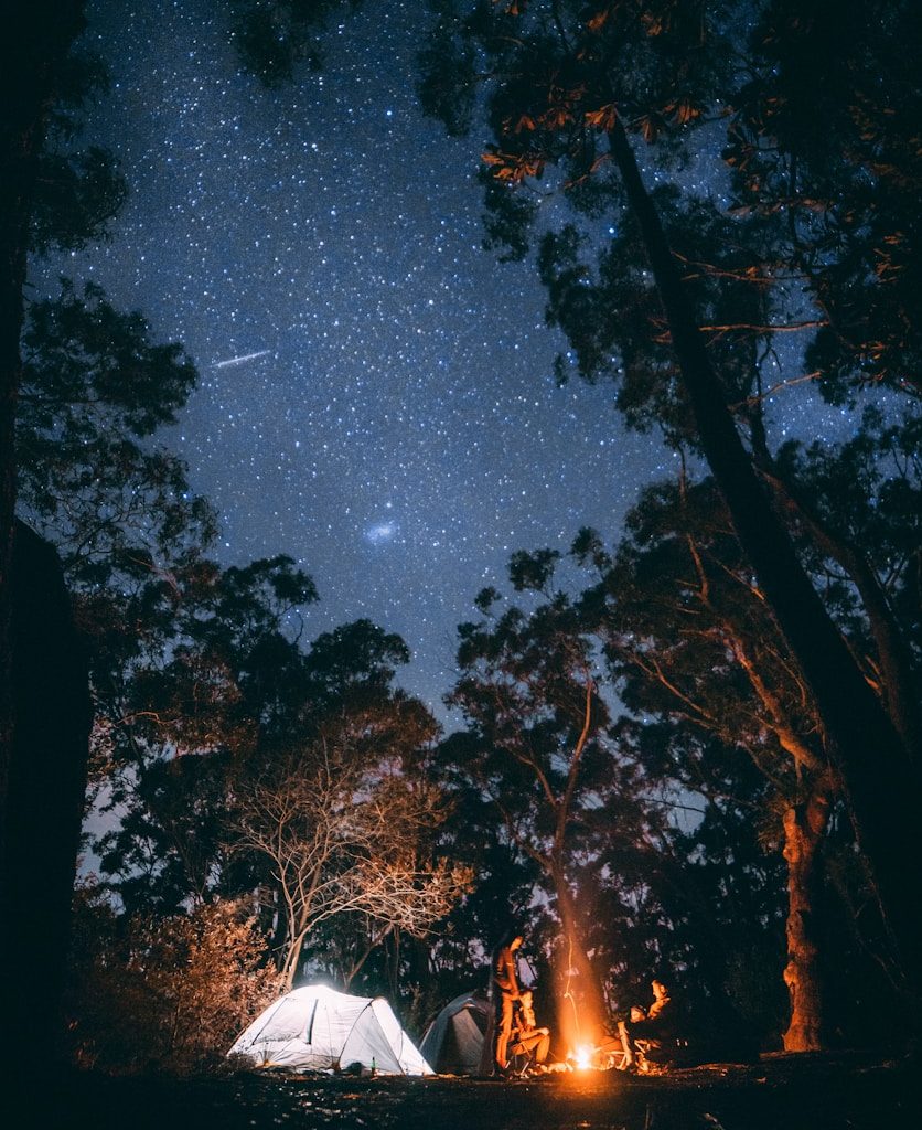 person sitting near bonfire surrounded by trees