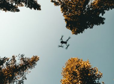 low angle photo of drone near trees