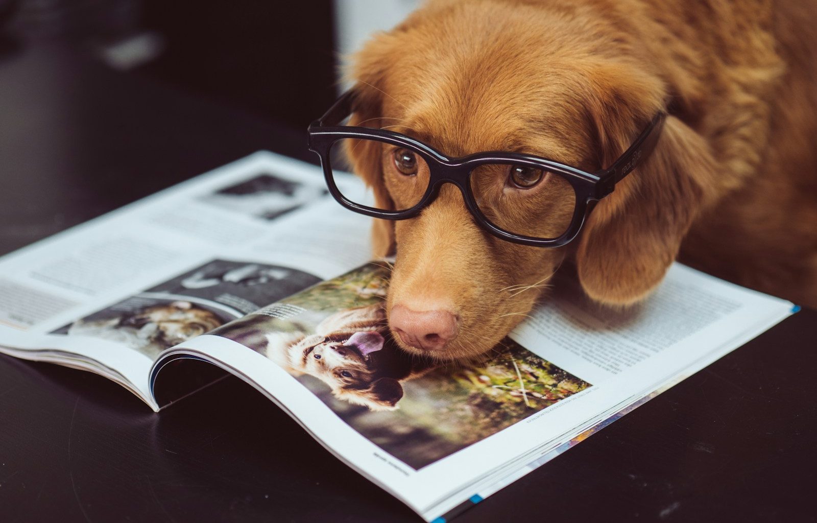 black framed eyeglasses