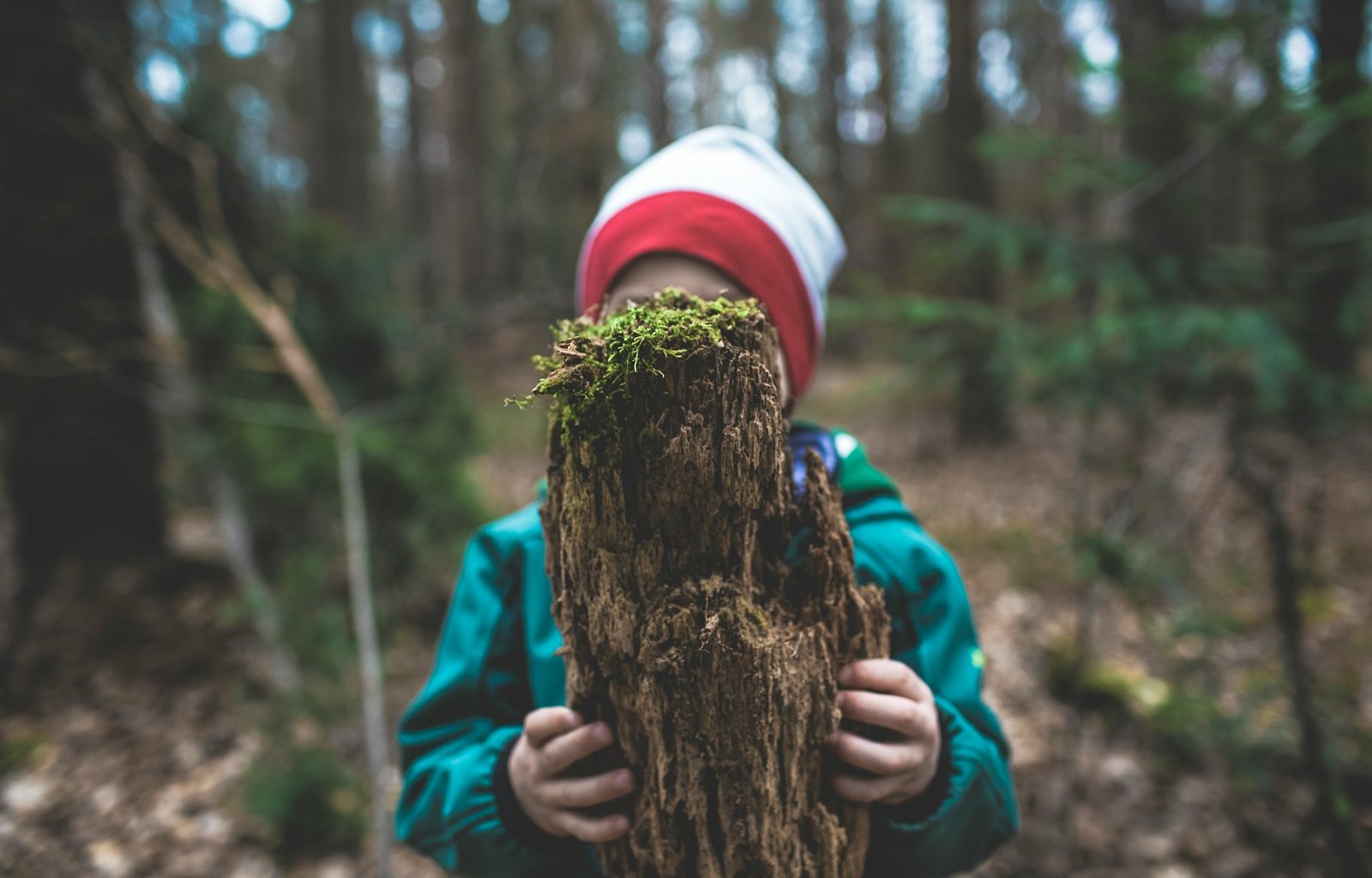 child in blue jacket and white knit cap holding brown tree trunk