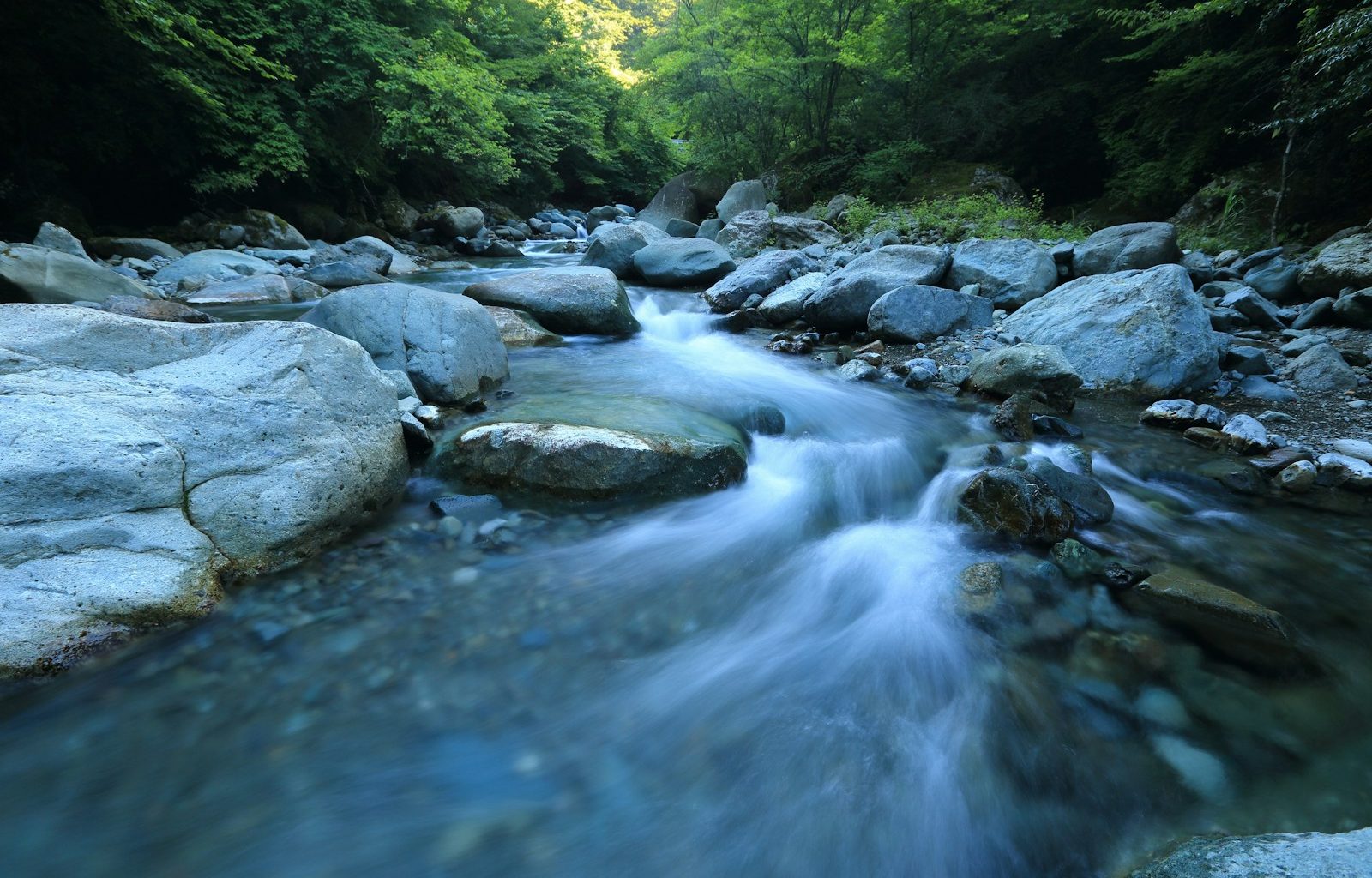 body river surrounded by dress
