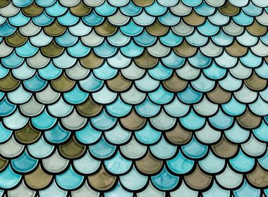 blue and black roof tiles
