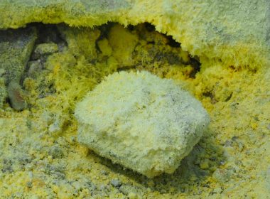 a rock in the sand