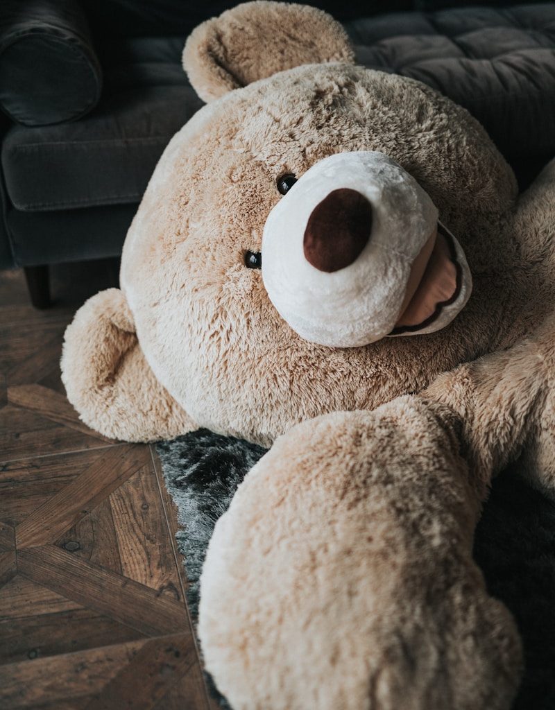 brown bear plush toy on black textile