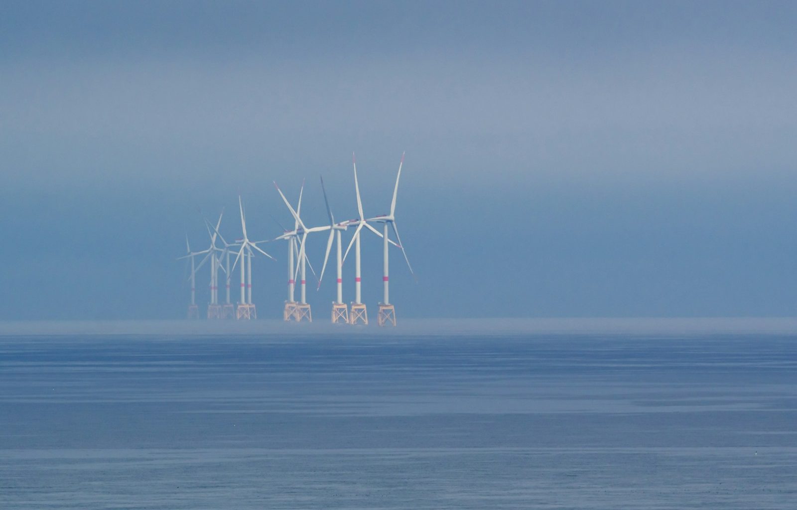 Offshore wind turbines stand in the misty ocean.