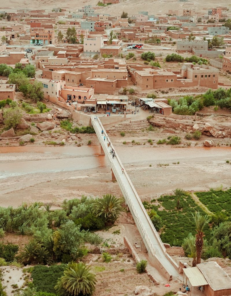 bird's-eye view photography of bridge