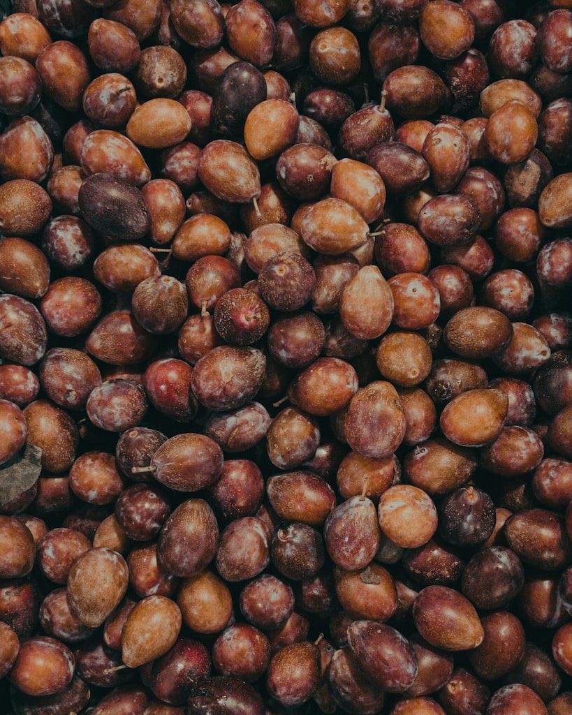 brown and black beans in close up photography
