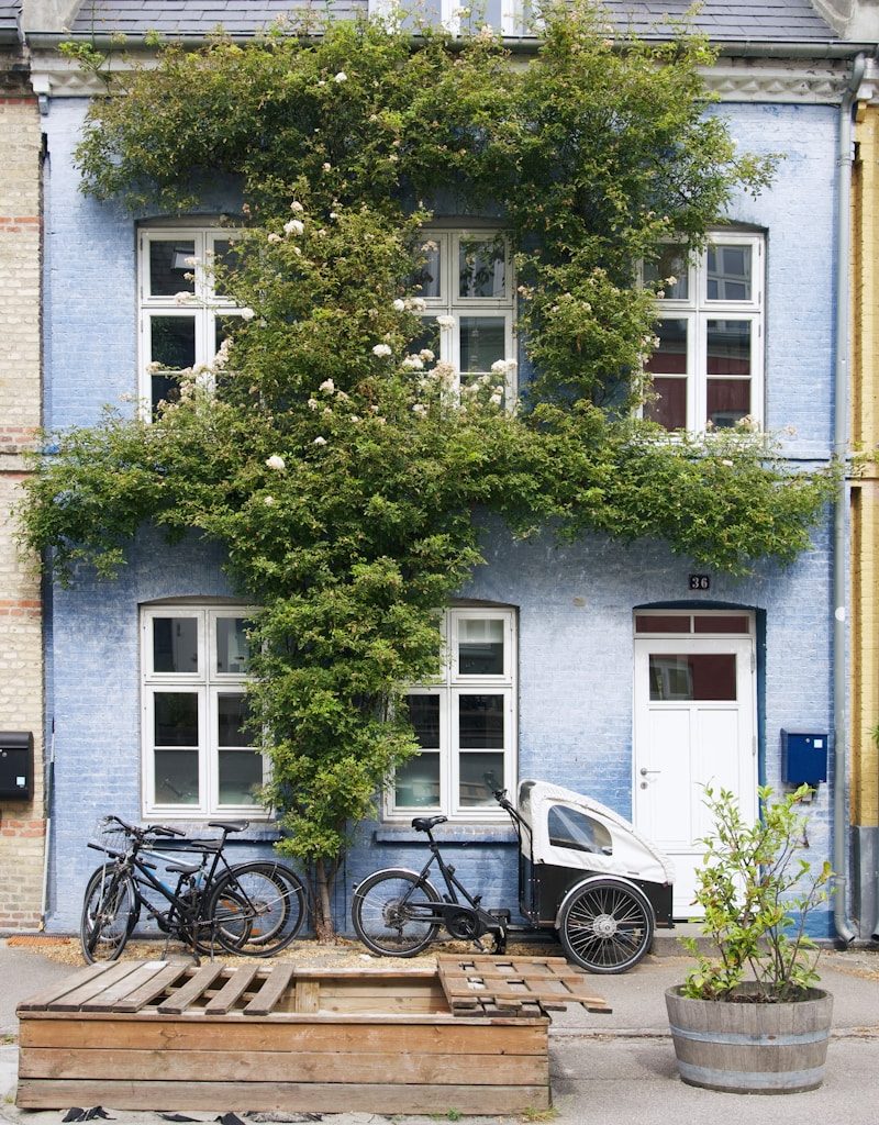 a tree in front of a building