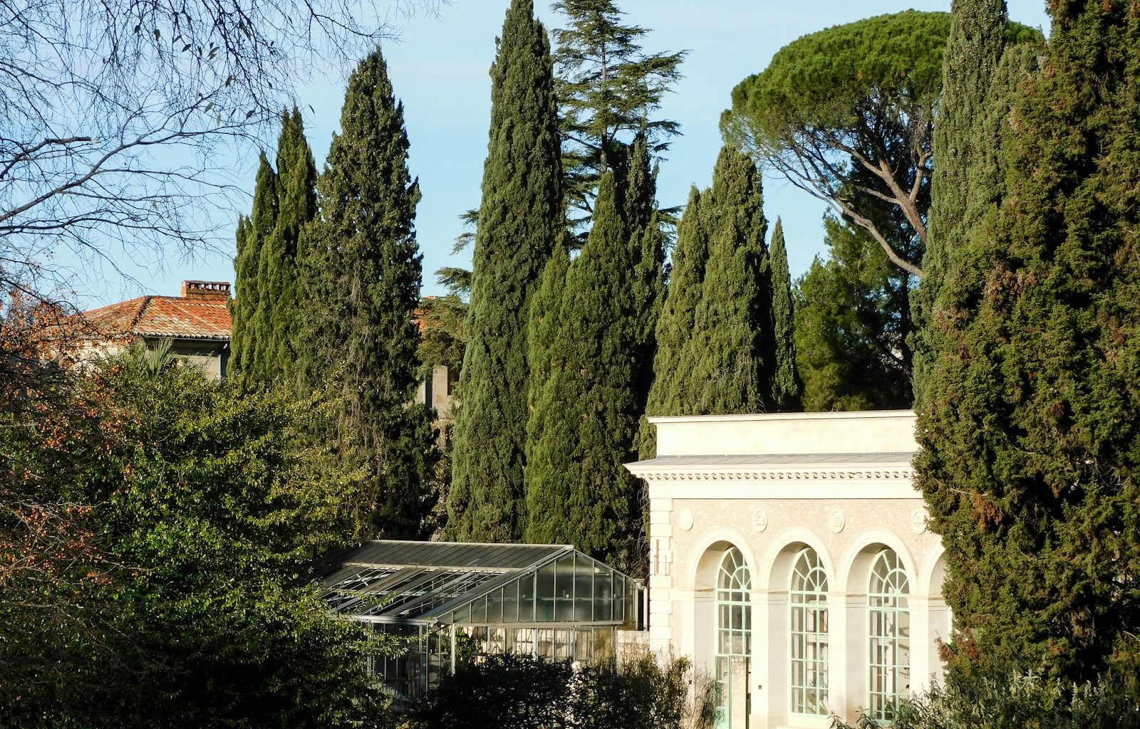 a white building surrounded by trees and bushes