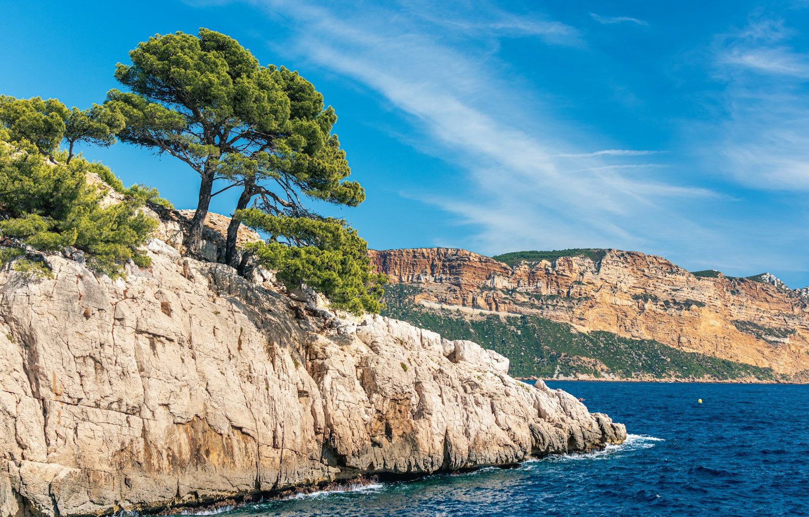 green trees on brown rocky mountain beside blue sea under blue sky during daytime