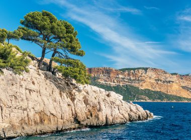 green trees on brown rocky mountain beside blue sea under blue sky during daytime