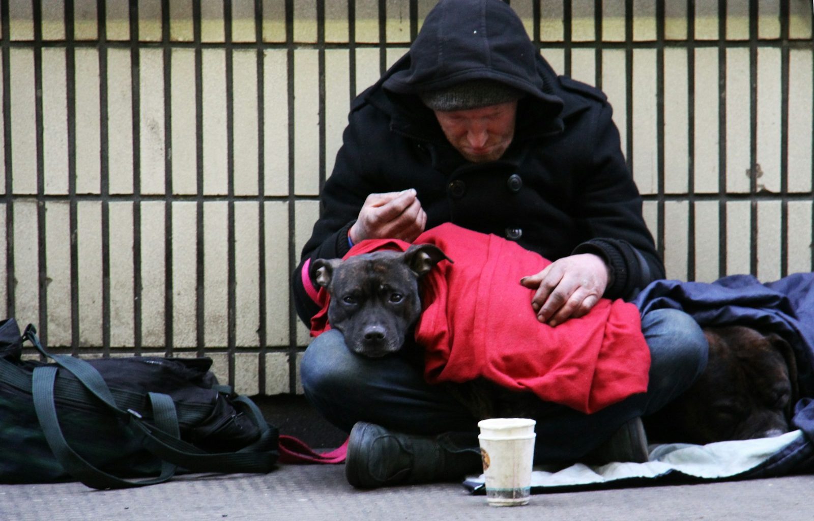 dog on top of person's lap while sitting on ground at daytime