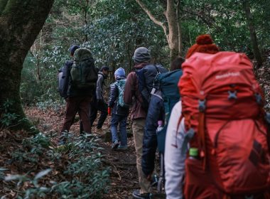 a group of people hiking through a forest