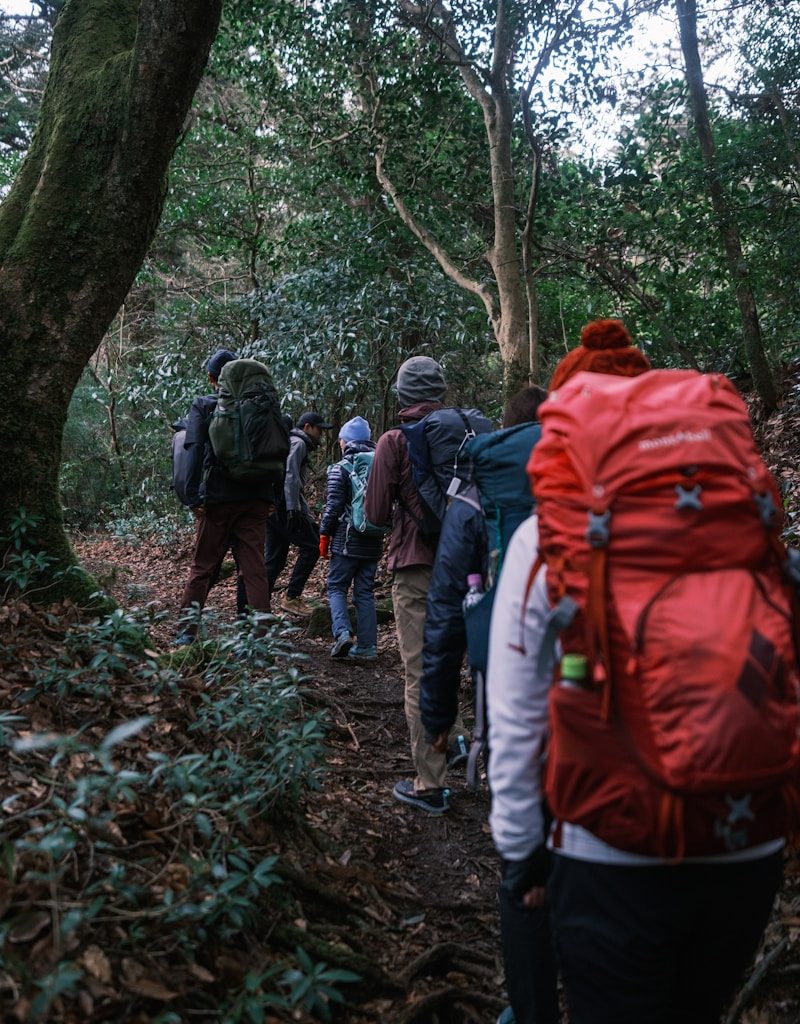 a group of people hiking through a forest