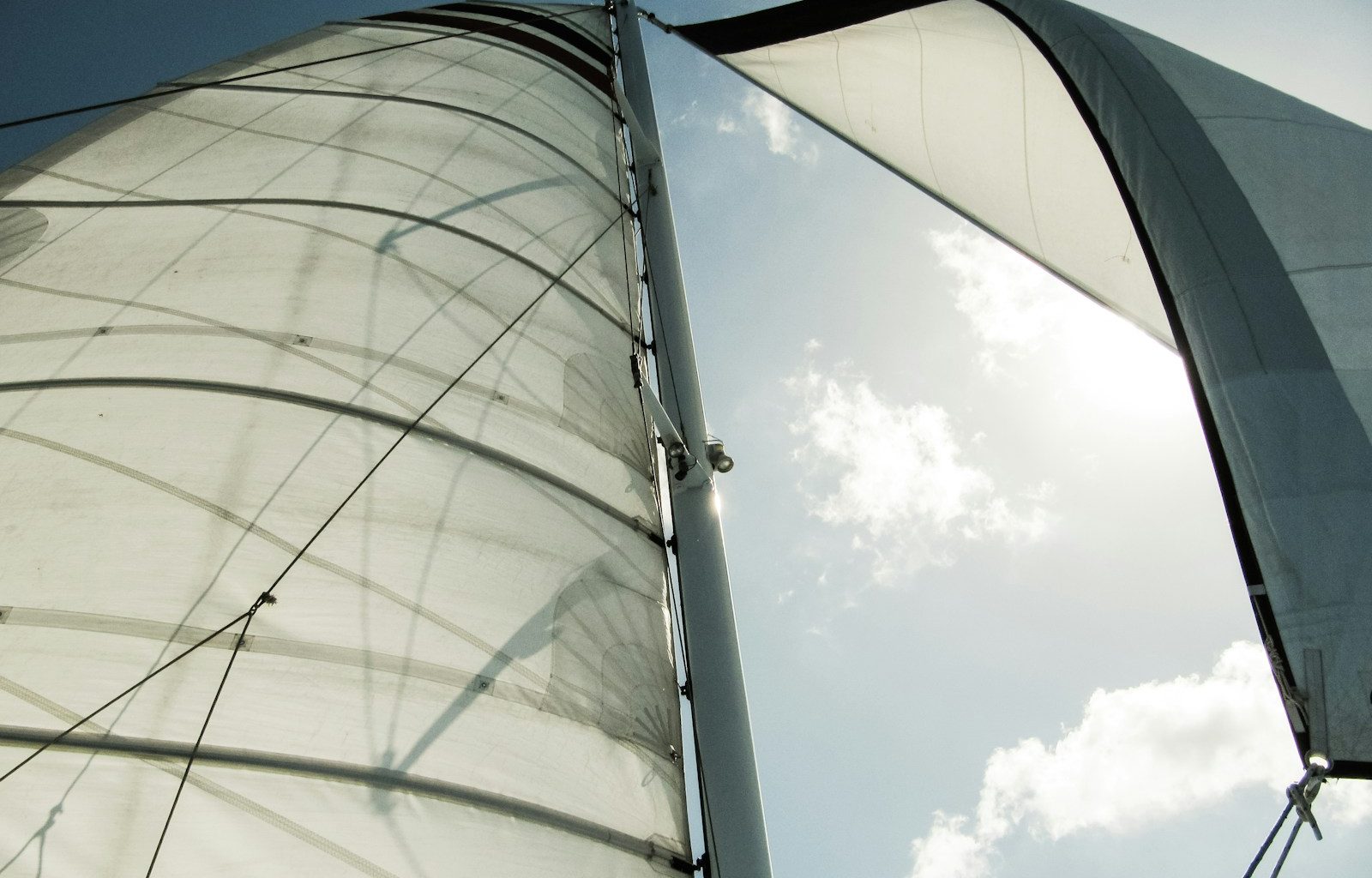 white sail boat