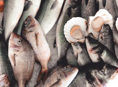 gray fishes on ice