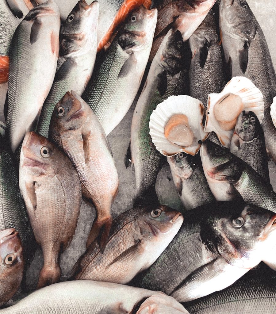 gray fishes on ice