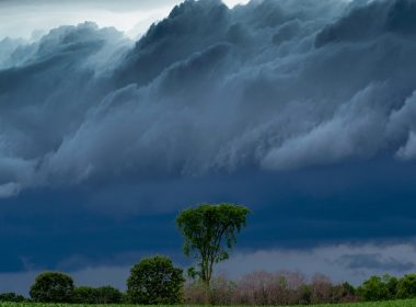 green grass under white clouds