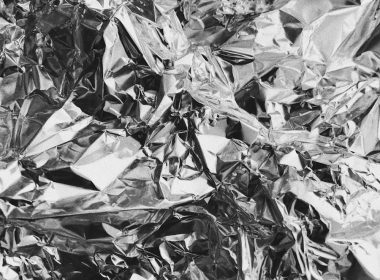 grayscale photo of leaves on ground