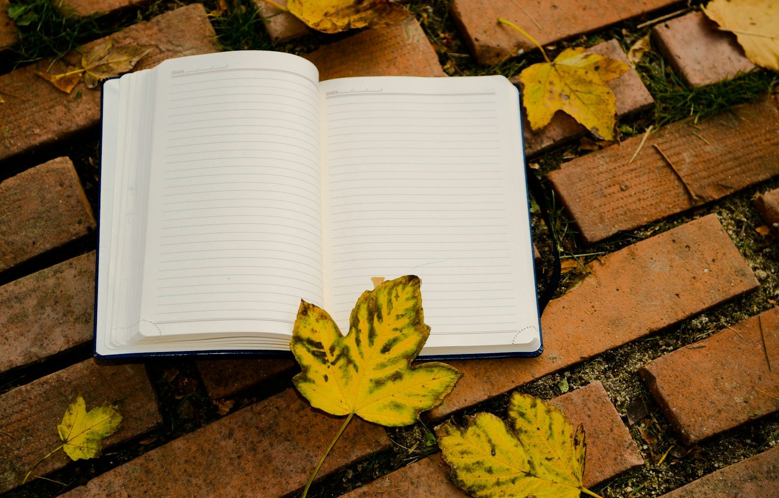 yellow flower on white book page