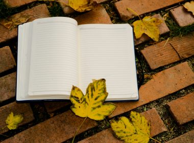 yellow flower on white book page